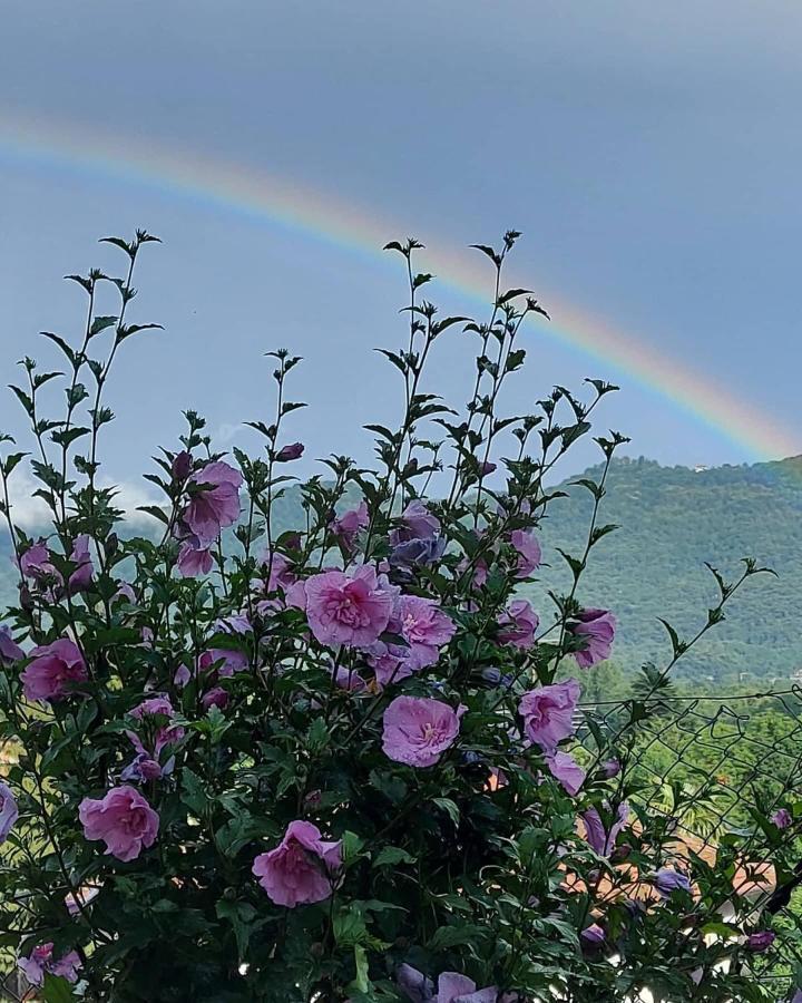 Casa Arcobaleno Gasthof *